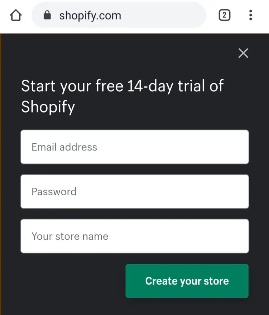 How Does Shopify Work? 