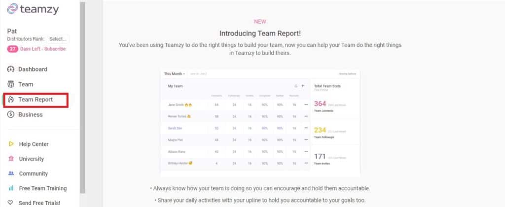 teamzy team report