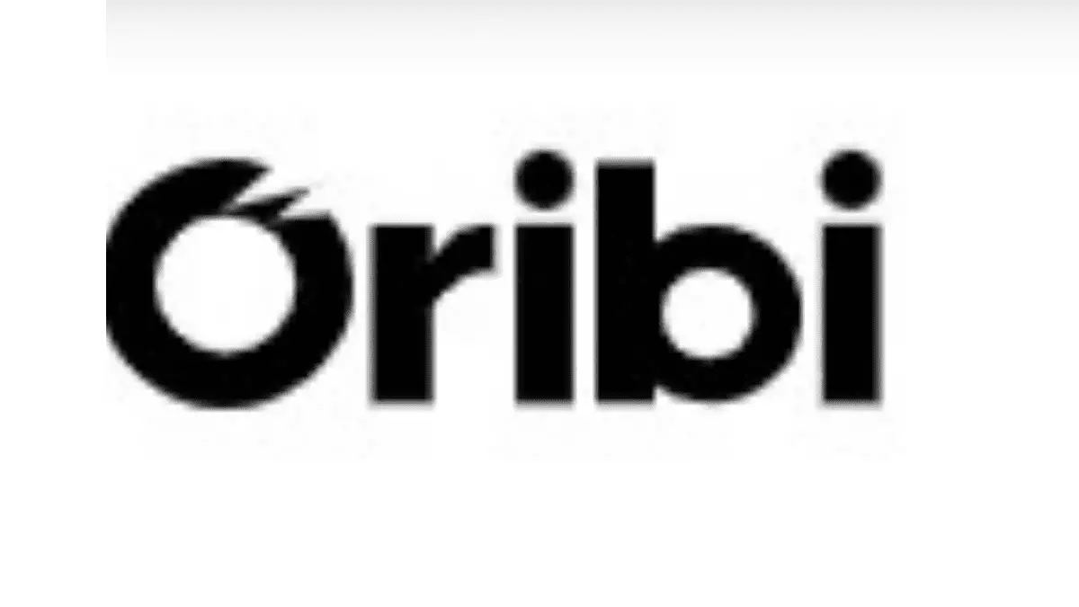 Oribi Analytics Review: Why Should You Go For It? - DepreneurDigest