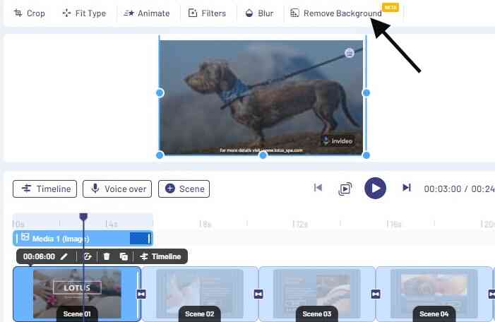 How to remove background on InVideo