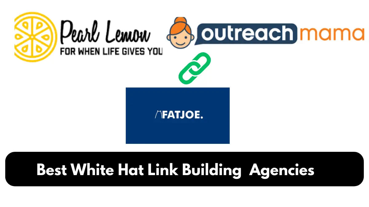 best-white-hat-linkbuilding-agency