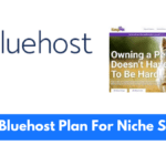 Which Bluehost Plan Is Best For Niche Sites? A User Answers