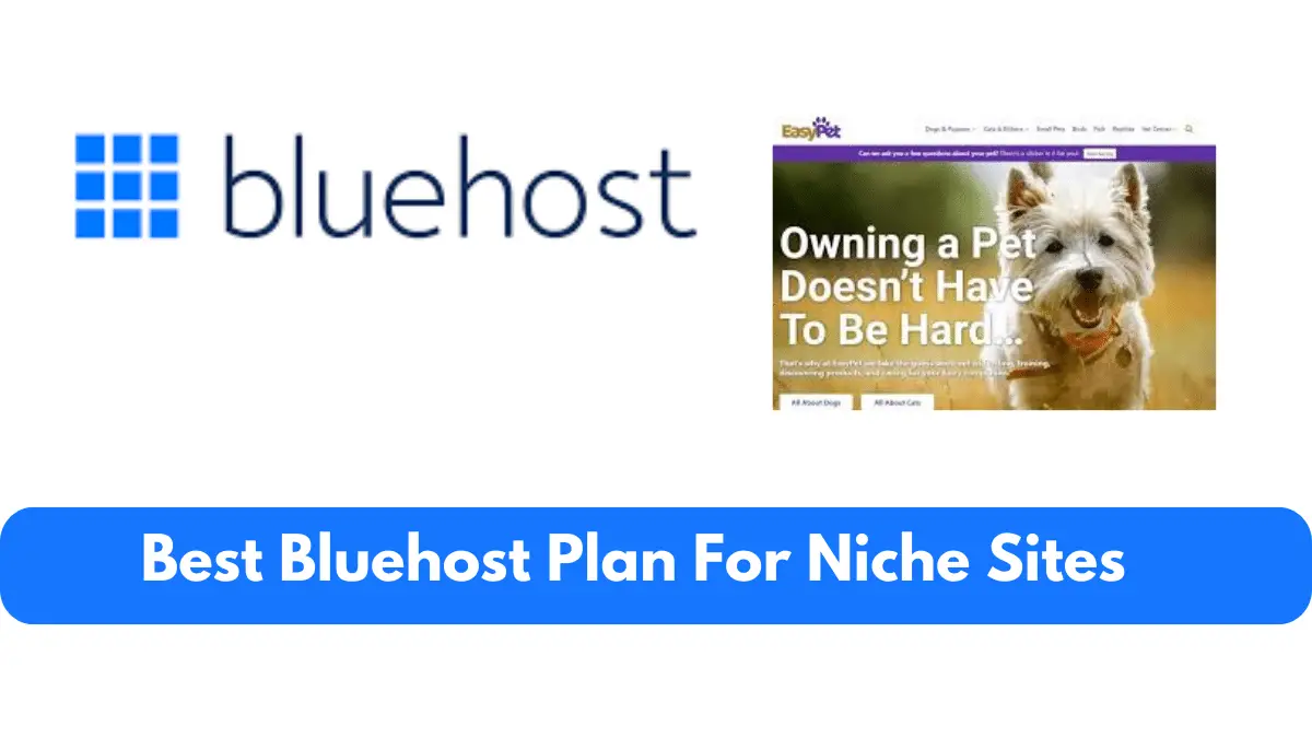 Which Bluehost Plan Is Best For Niche Sites