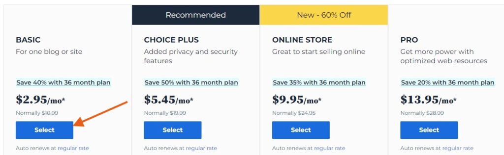 bluehost basic plan