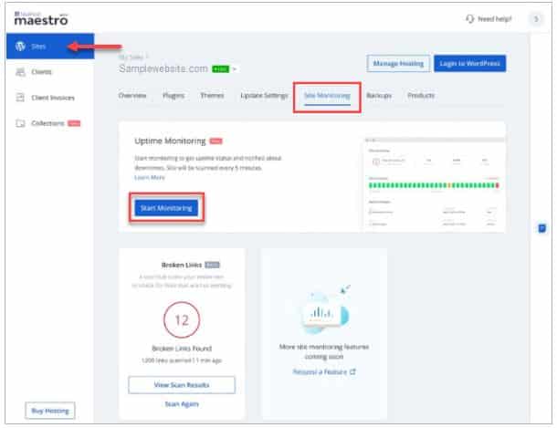 How to monitor your website uptime on Bluehost