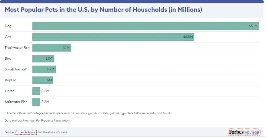 number of households with dogs in America according to Forbes Advisor