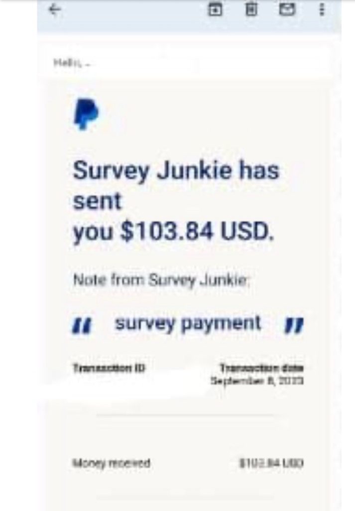 taking paid survey as fun retirement job for seniors
